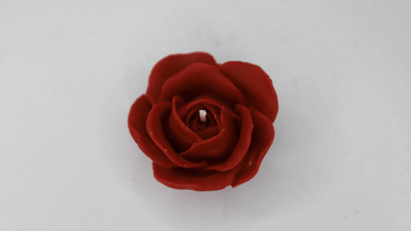 Rose (Medium)