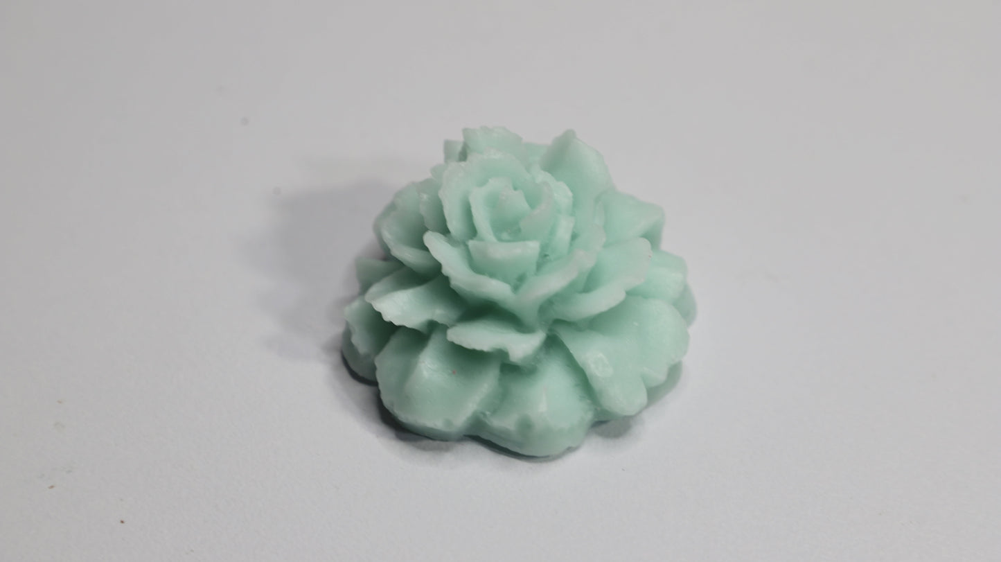 Echeveria (Medium)