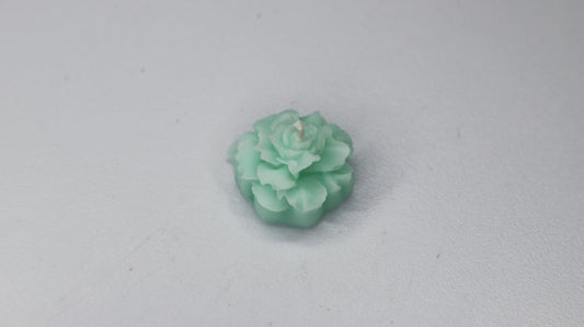 Echeveria (Small)