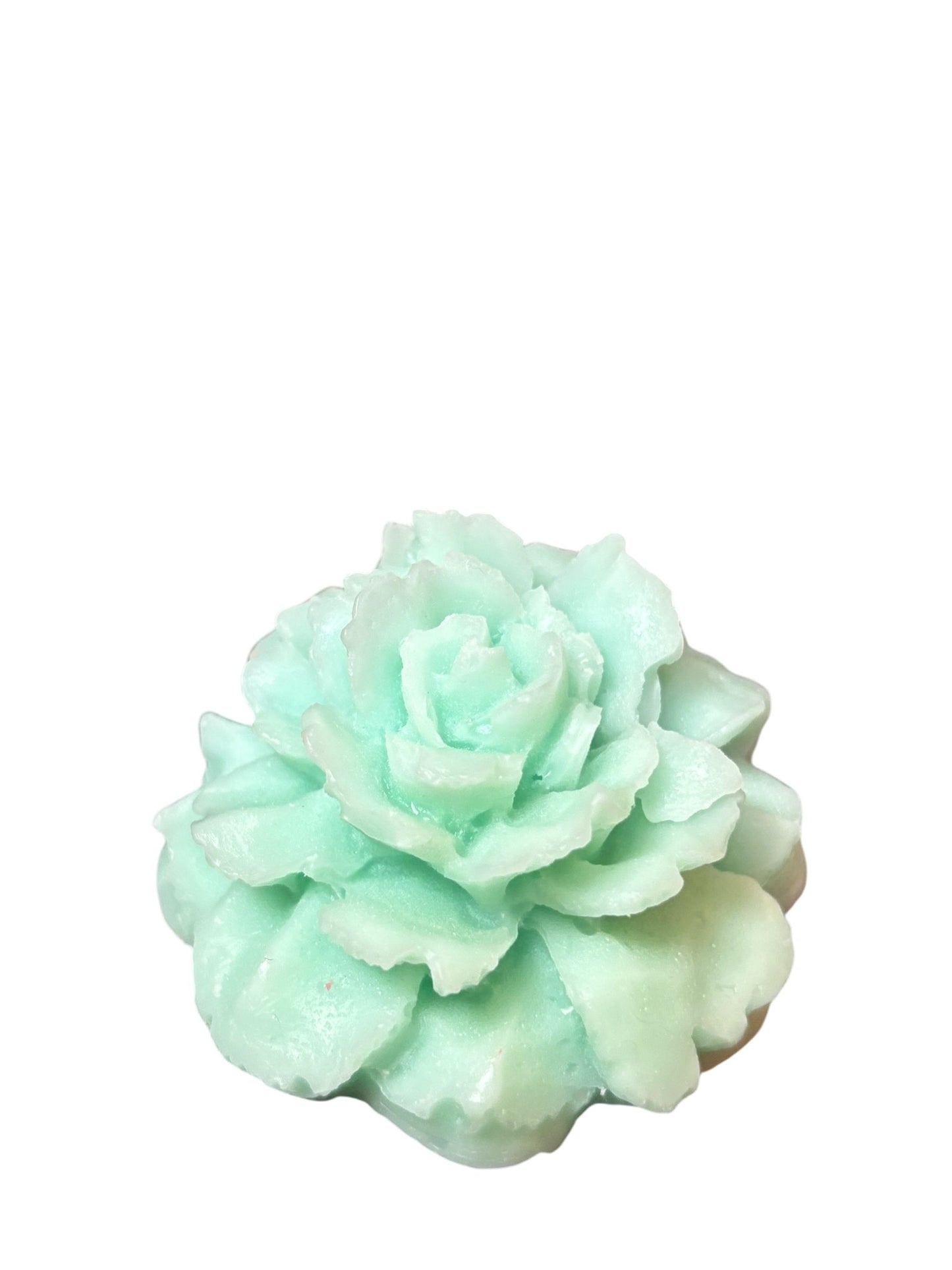 Light Green Peony