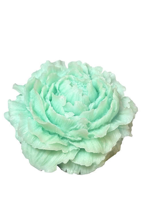 Sea Green Peony