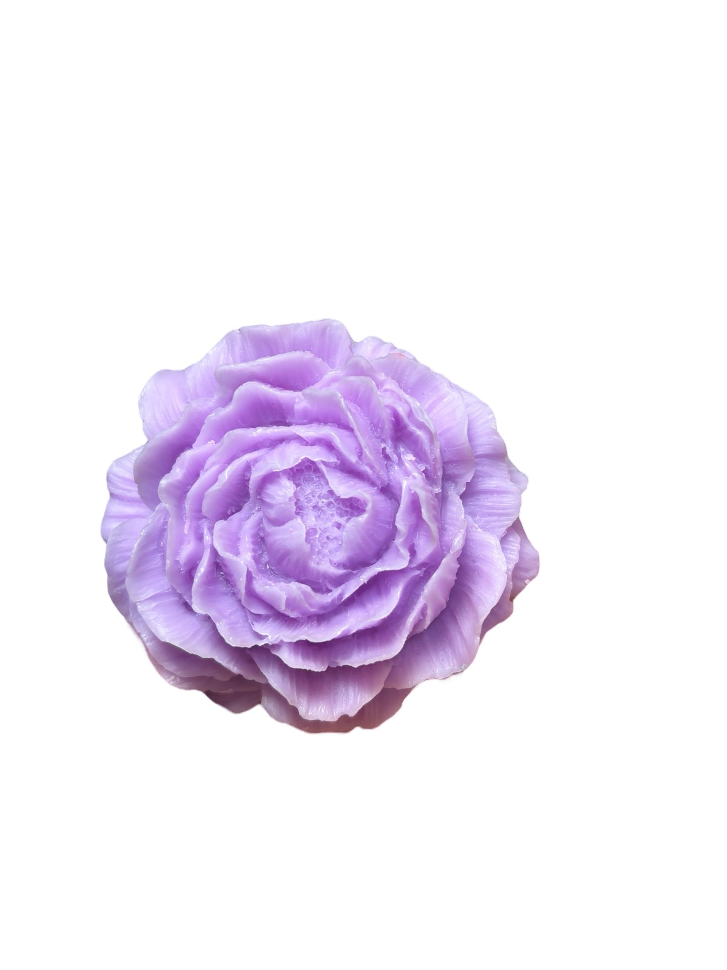 Lilac Peony