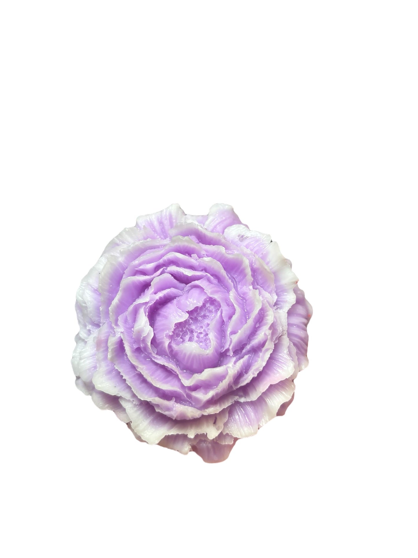 Lilac Ombre Peony