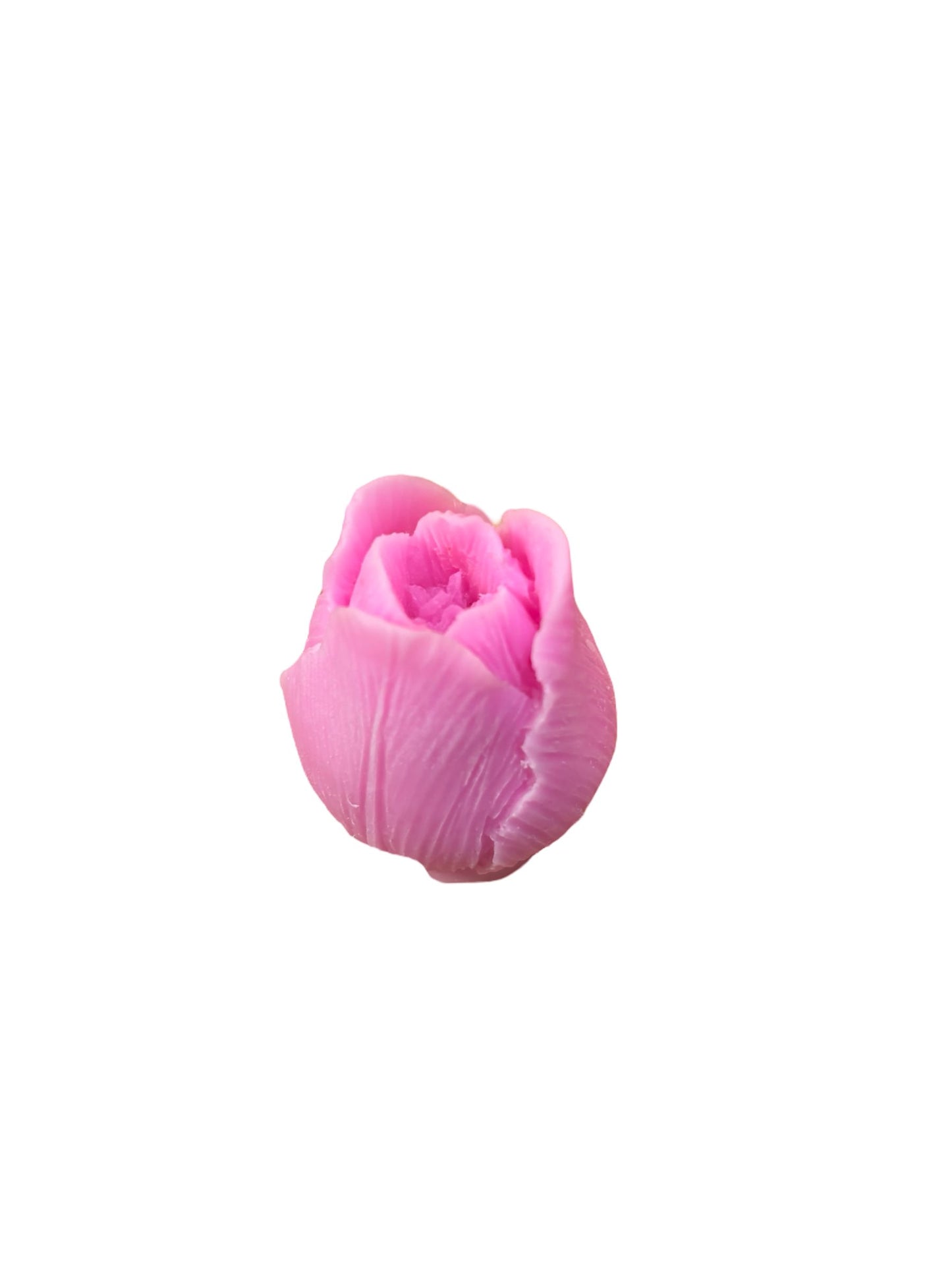 Pink Tulip