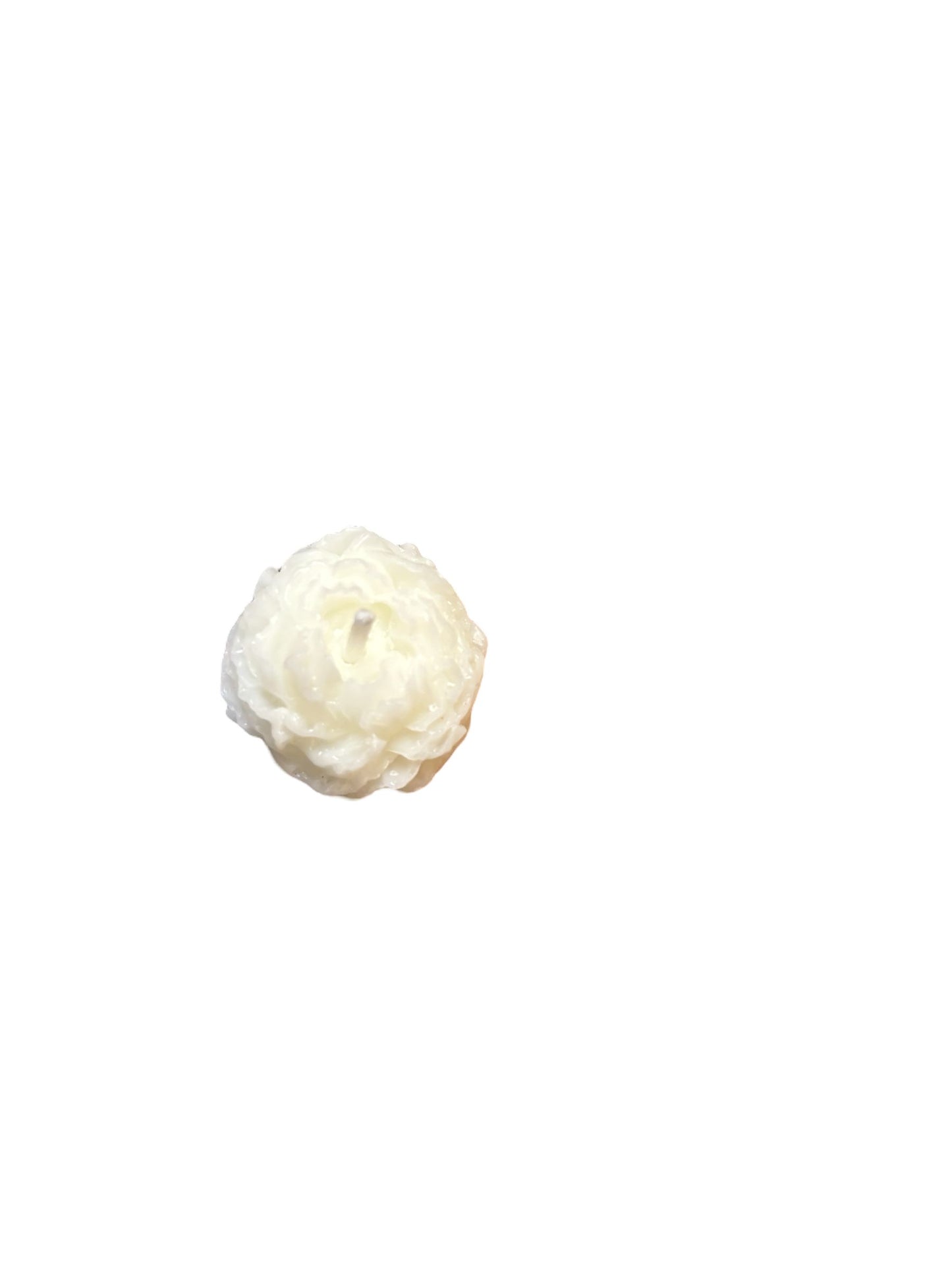 White Flower